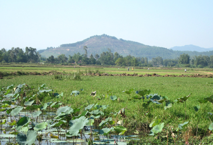 Đến xứ Quảng ngắm cảnh sắc n&ecirc;n thơ